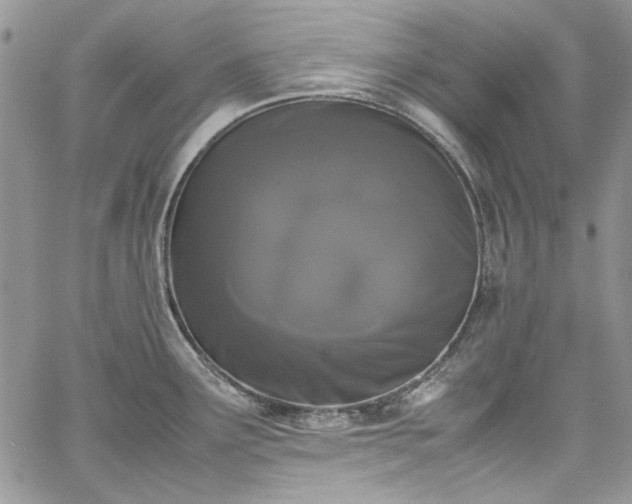 X0000067951291200604201422