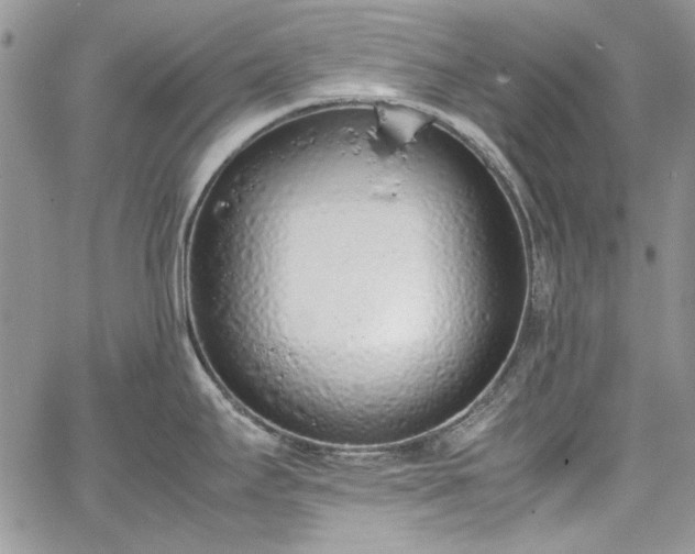 X0000067951295200604201421