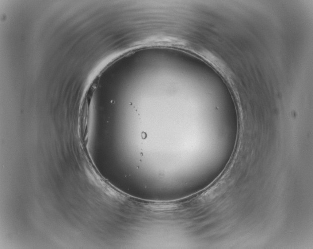 X0000067951296200604201421