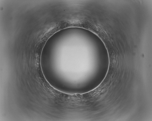 X0000067951301200604201421