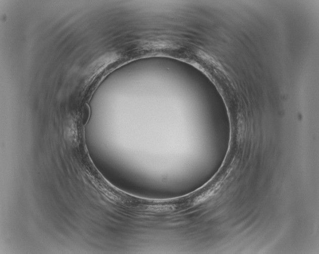 X0000067951305200604201421