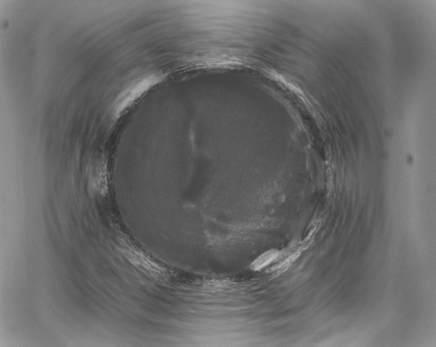 X0000067951306200604201421