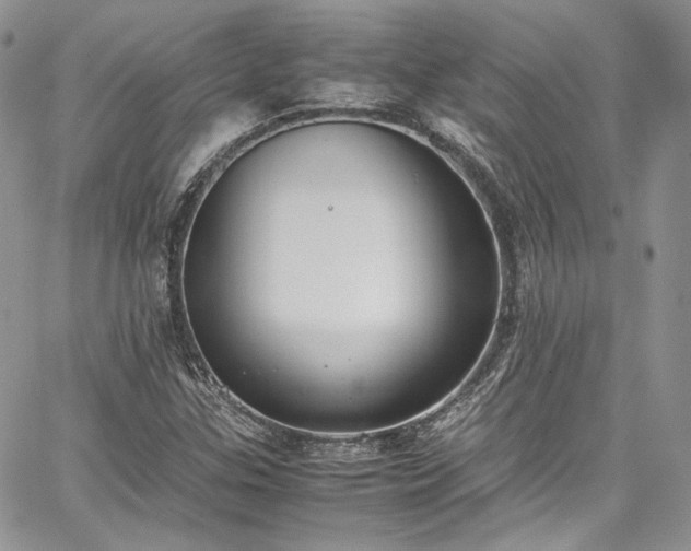 X0000067951307200604201421