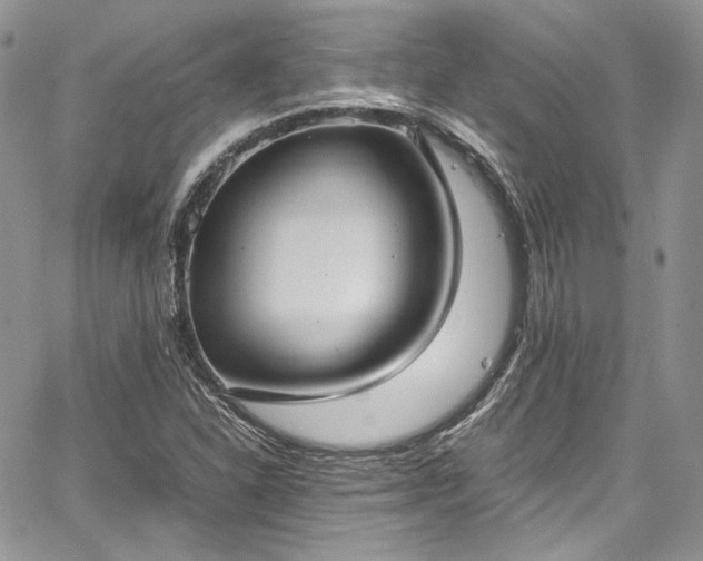 X0000067951310200604201421