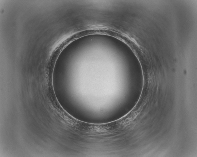 X0000067951311200604201421