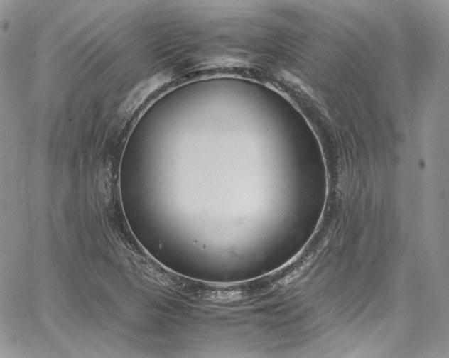 X0000067951313200604201421