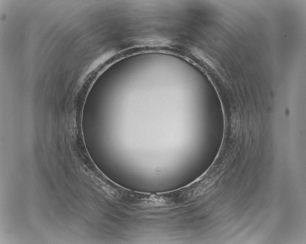 X0000067951315200604201421