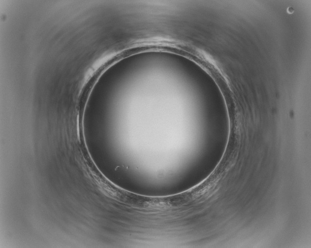 X0000067951320200604201421