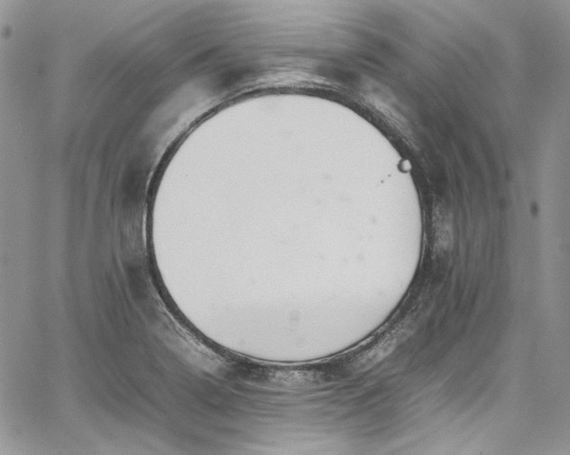 X0000067951322200604201421