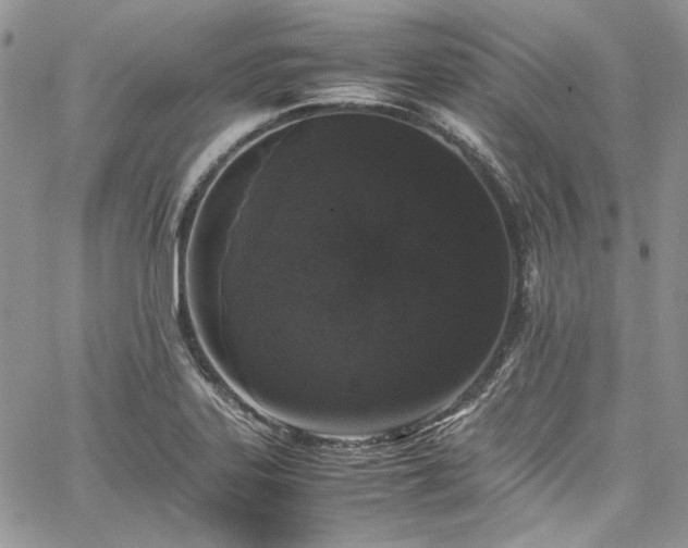 X0000067951323200604201421