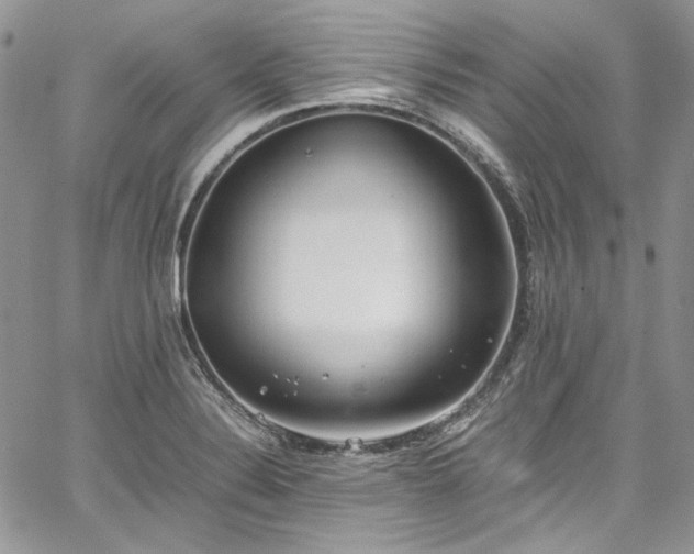 X0000067951324200604201421