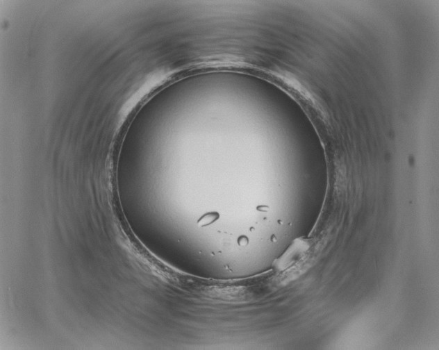 X0000067951325200604201421