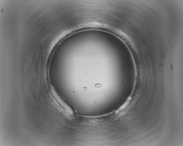 X0000067951326200604201421