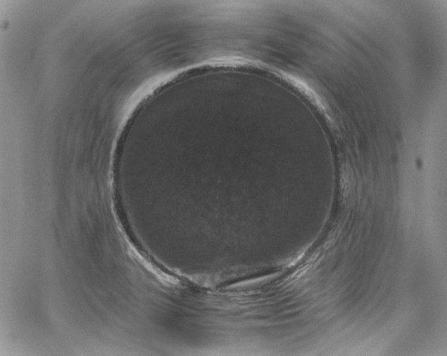 X0000067951327200604201421