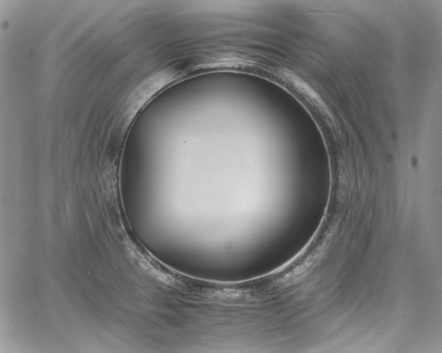 X0000067951329200604201421