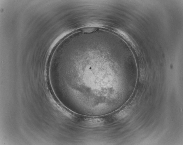 X0000067951331200604201421