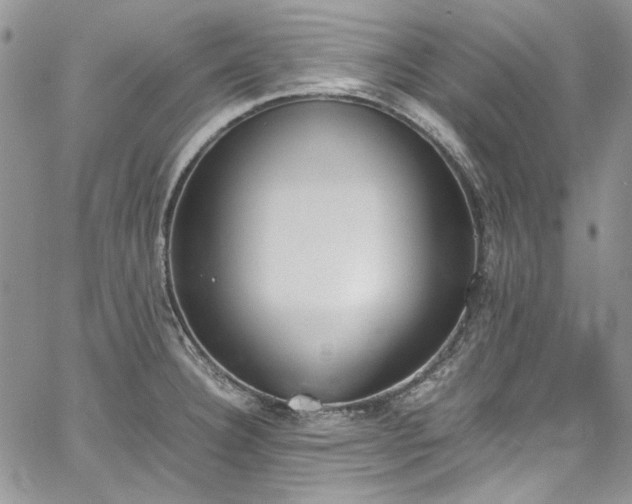 X0000067951332200604201421