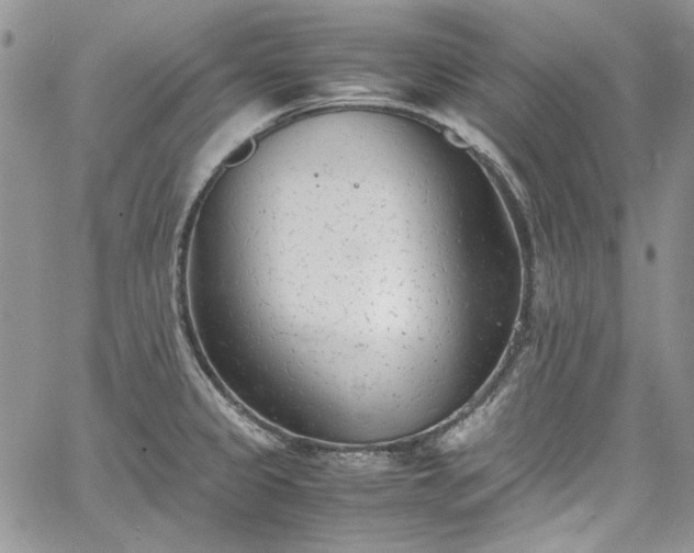 X0000067951333200604201421