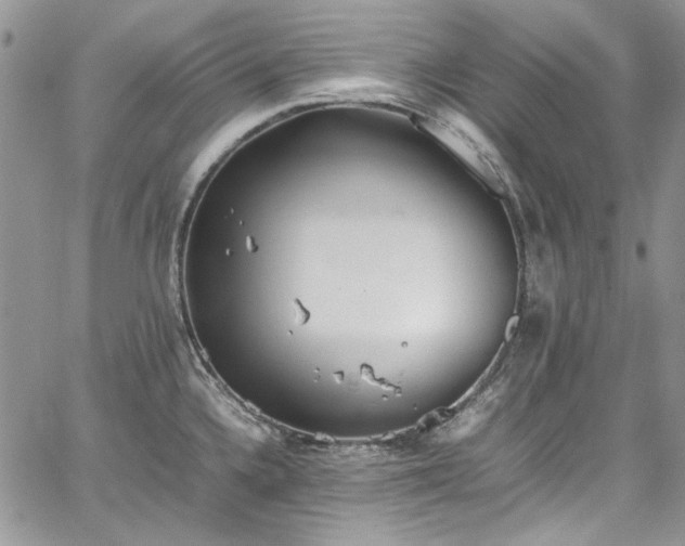 X0000067951336200604201421