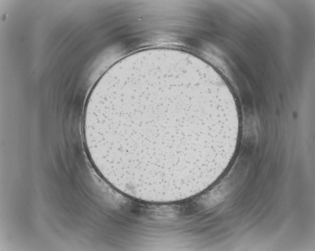 X0000067951338200604201421