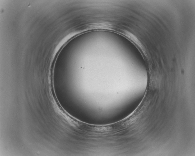 X0000067951339200604201421