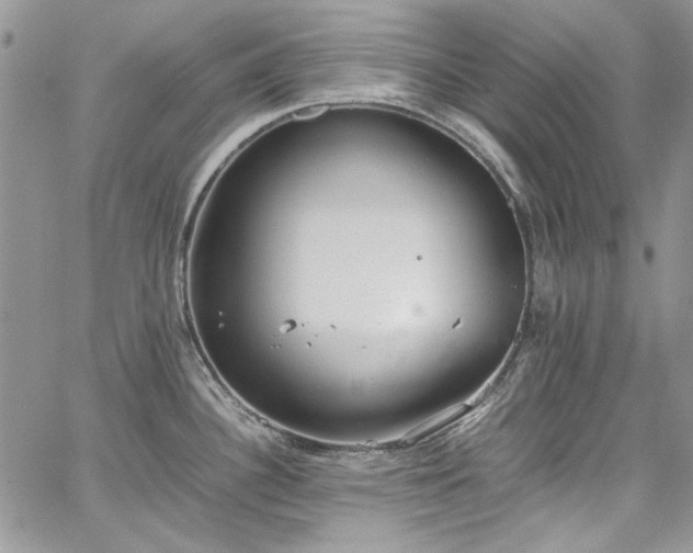 X0000067951340200604201421