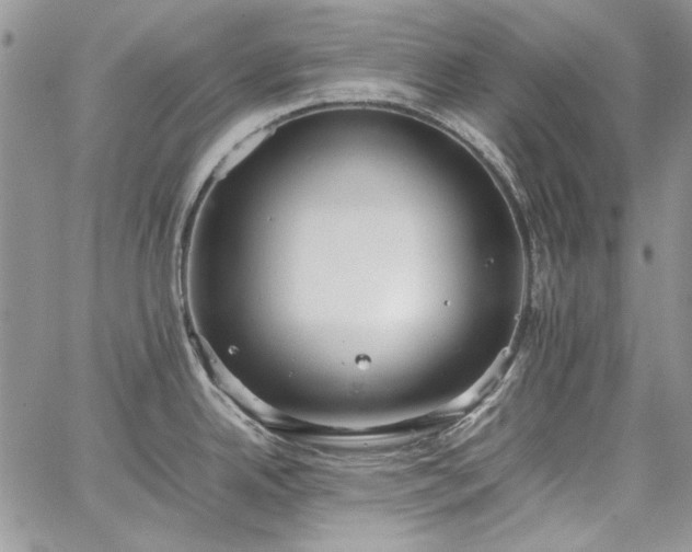 X0000067951342200604201421