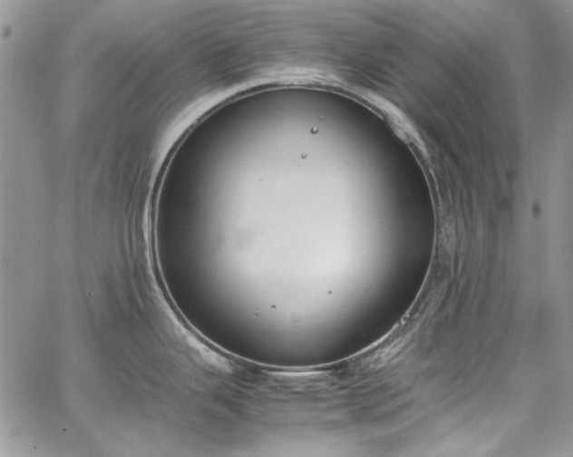 X0000067951343200604201421