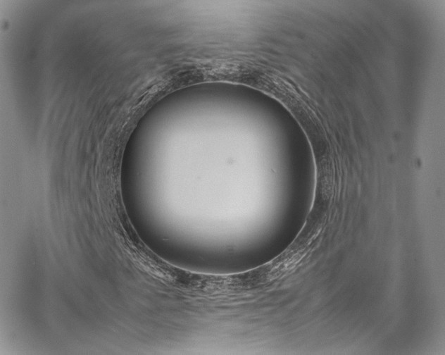 X0000067951345200604201421