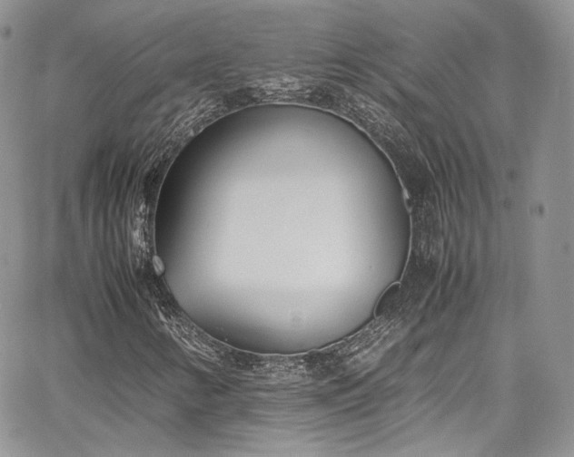 X0000067951346200604201421