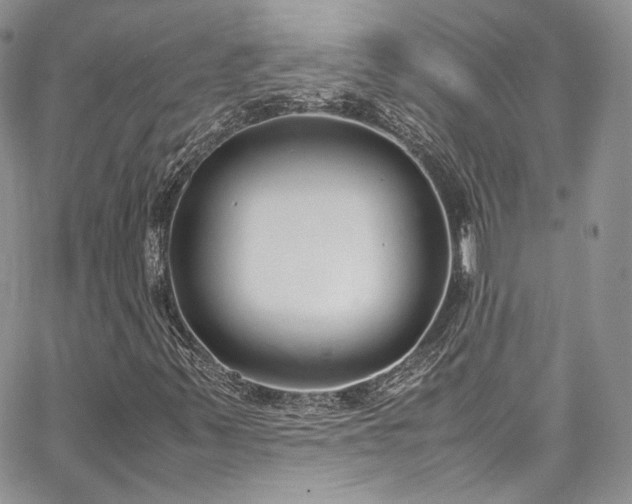 X0000067951347200604201421