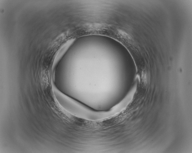 X0000067951348200604201421