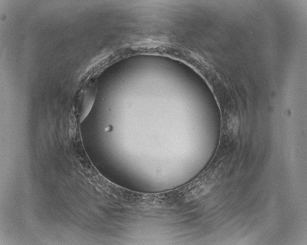 X0000067951350200604201421