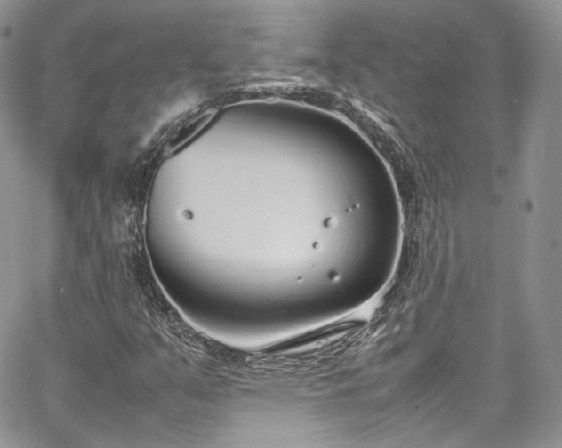 X0000067951351200604201420