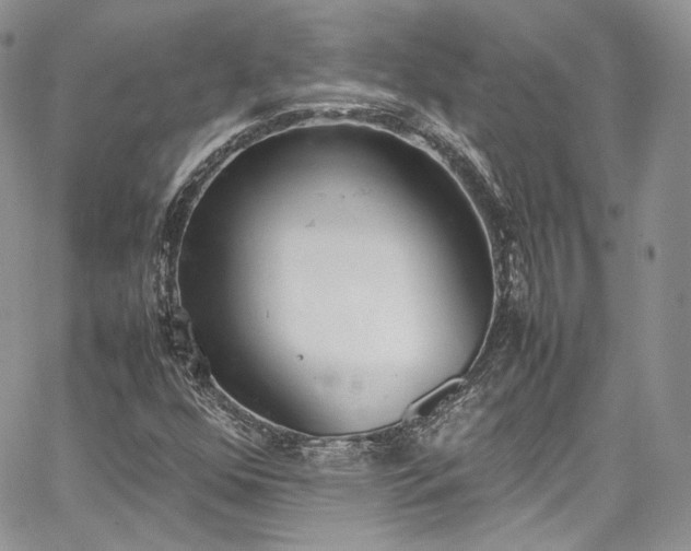 X0000067951352200604201420