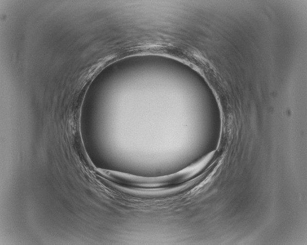 X0000067951353200604201420