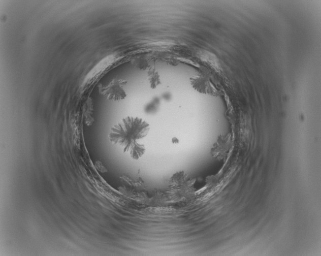 X0000067951354200604201420