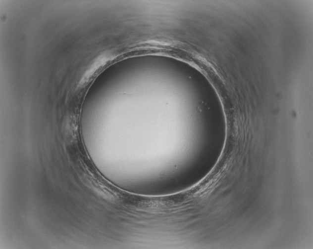 X0000067951355200604201420