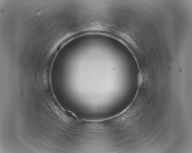 X0000067951356200604201420