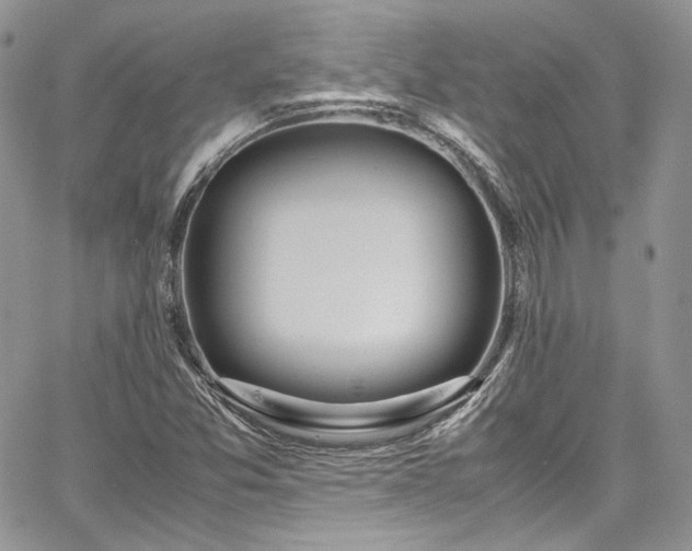 X0000067951357200604201420