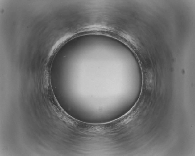 X0000067951358200604201420