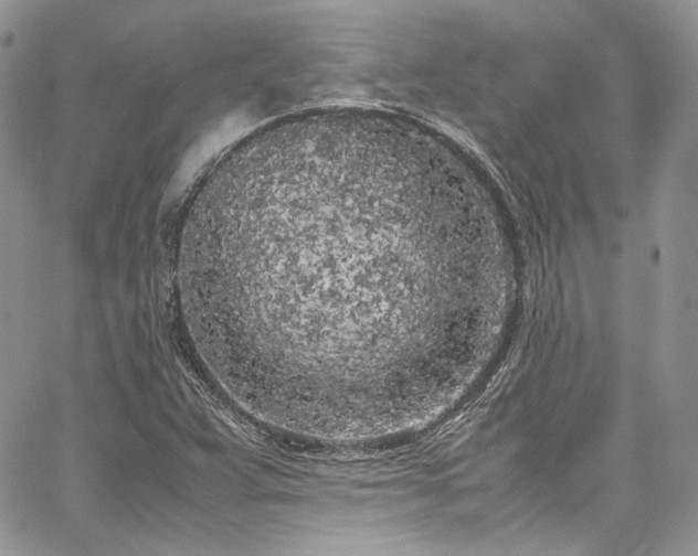 X0000067951359200604201420