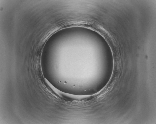 X0000067951361200604201420