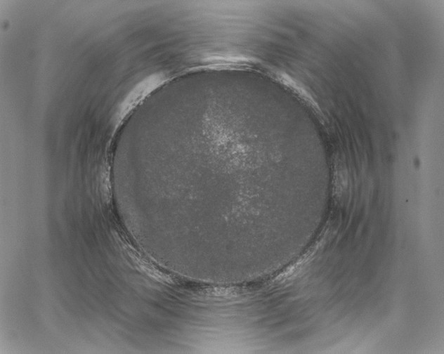 X0000067951362200604201420