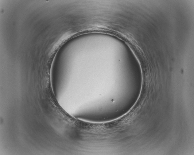 X0000067951363200604201420