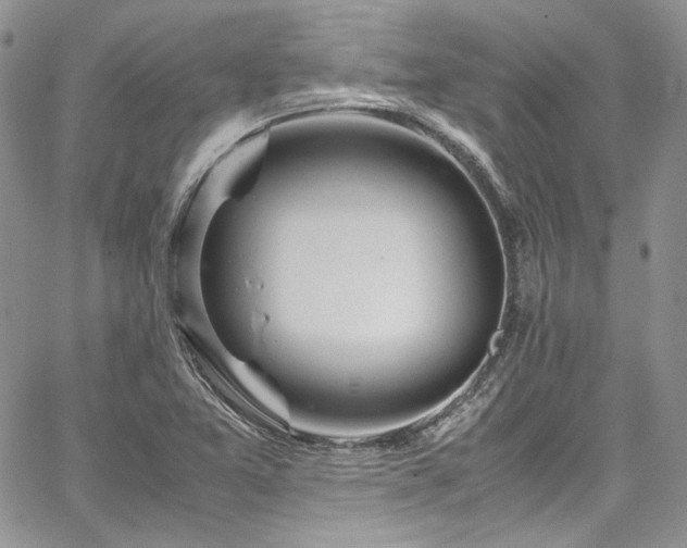 X0000067951365200604201420