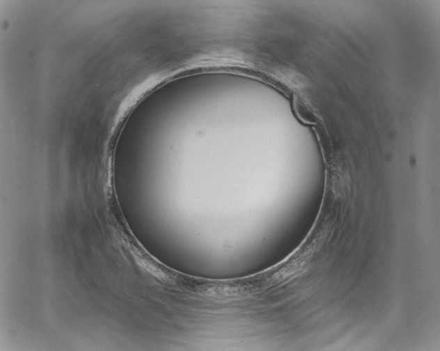 X0000067951366200604201420