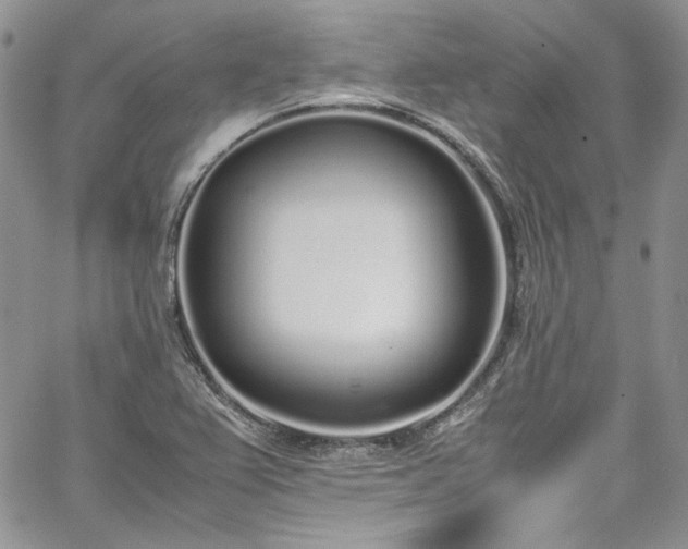 X0000067951367200604201420