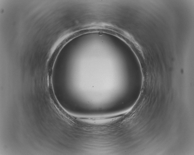 X0000067951368200604201420