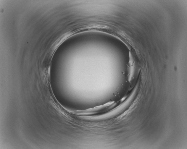 X0000067951369200604201420